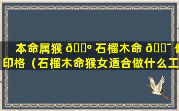 本命属猴 🐺 石榴木命 🐯 偏印格（石榴木命猴女适合做什么工作）